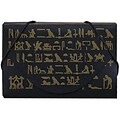 JAM Paper® Plastic Business Card Case, Brooklyn Museum Design Black/Gold, Sold Individually (53667492)