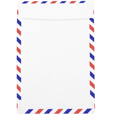 JAM Paper® 6 x 9 Airmail Open End Catalog Envelopes, White, 100/Pack (1430743C)