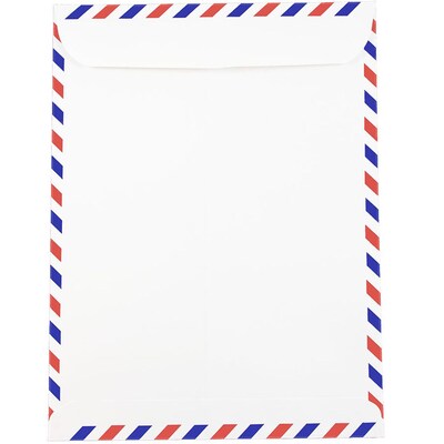 JAM Paper Open End Catalog Envelope, 9 x 12, White, 100/Pack (1430744C)