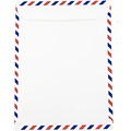 JAM Paper Open End Catalog Envelope, 9 x 12, White, 100/Pack (1430744C)