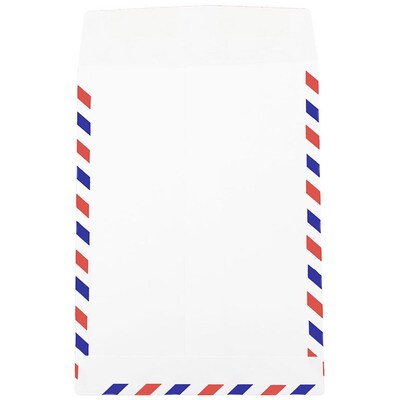 JAM Paper Open End Catalog Envelope, 9" x 12", White, 100/Pack (1430744C)