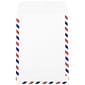 JAM Paper Open End Catalog Envelope, 9" x 12", White, 100/Pack (1430744C)