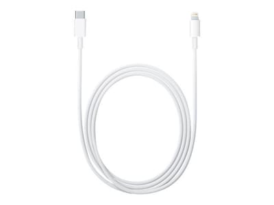 Apple USB-C To Lightning Cable - iPad / iPhone / iPod Charging / Data Cable - Lightning / USB - 6.6