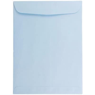 JAM Paper 6 x 9 Open End Catalog Envelopes, Baby Blue, 10/Pack (1285578B)