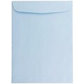 JAM Paper 6 x 9 Open End Catalog Envelopes, Baby Blue, 10/Pack (1285578B)