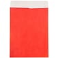 JAM Paper 10 x 13 Tear-Proof Open End Catalog Envelopes, Red, 25/Pack (V021383)