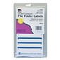 Charles Leonard File Folder Labels, Blue, 1 Pack of 248 (CHL45215Q)