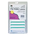 Charles Leonard File Folder Labels, Green