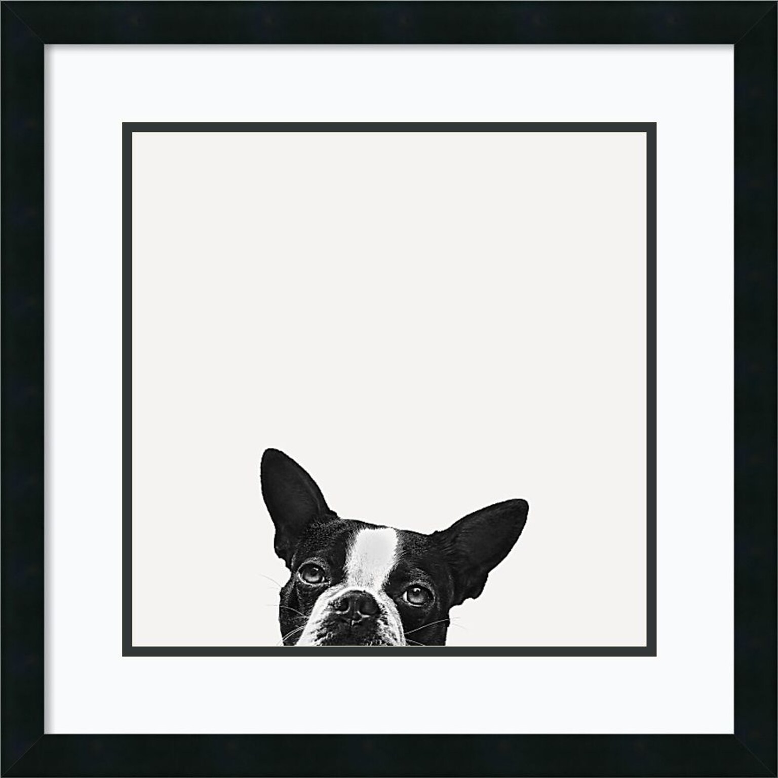 Amanti Art Jon Bertelli Loyalty Art Print 22 x 22 in. Satin Black Wood Frame (DSW1385034)