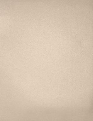 LUX Colored Paper, 32 lbs., 8.5 x 11, Taupe Metallic, 50 Sheets/Pack (81211-P-M09-50)