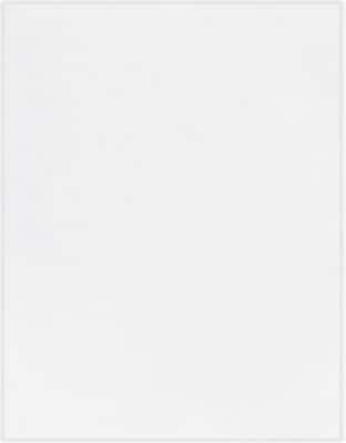 Exact 110 lb. Cardstock Paper, 11 x 17, White, 250 Sheets/Pack (WAU40414)