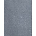 LUX® Cardstock, 11 x 17, Anthracite Metallic, 250 Qty (1117-C-M05-250)