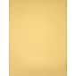 LUX® Cardstock, 11" x 17", Gold Metallic, 50 Qty (1117-C-M07-50)