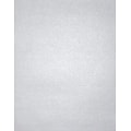 LUX® Paper, 11 x 17, Silver Metallic, 1000 Qty (1117-P-M06-1M)