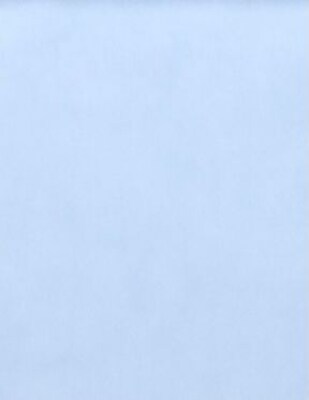 LUX® Cardstock, 11 x 17, Baby Blue, 50 Qty (1117-C-13-50)