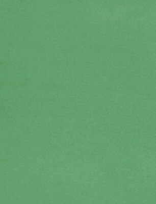 LUX® Cardstock, 11 x 17, Holiday Green, 250 Qty (1117-C-L17-250)