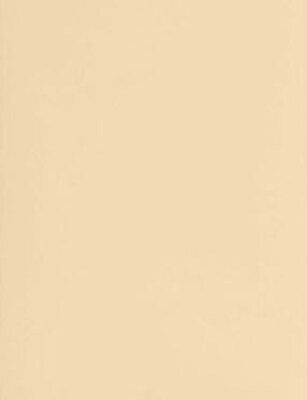 LUX® Cardstock, 11 x 17, Nude, 50 Qty (1117-C-L07-50)