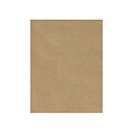 LUX® Cardstock, 11 x 17, 18pt. Grocery Bag, 50 Qty (1117-C-18GB-50)