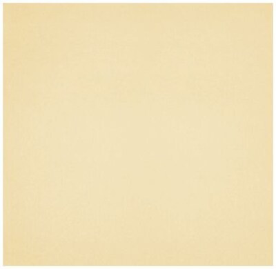 LUX A7 Drop-In Envelope Liners (6 15/16 x 6 5/8) 250/Box, Champagne Metallic (LINER-CHAM-250)
