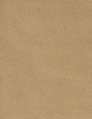LUX Colored Paper, 32 lbs., 11 x 17, Grocery Bag Brown, 250 Sheets/Pack (1117-P-GB-250)