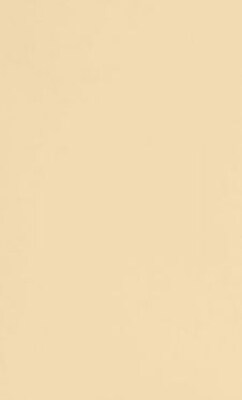 LUX® Paper, 8 1/2 x 14, Nude Natural, 1000 Qty (81214-P-L07-1M)