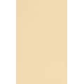 LUX Colored Paper, 32 lbs., 8.5 x 14, Nude Natural, 250 Sheets/Pack (81214-P-L07-250)