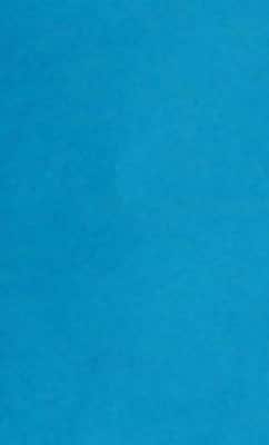 LUX 8.5 x 14 Multipurpose Paper, 32 lbs., Pool Blue, 50 Sheets/Pack (81214-P-102-50)