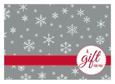 LUX #17 Mini Gift Card Envelopes, 2 11/16 x 3 11/16, Silver Snowflake, 250 Qty (LEVC-H02-250)