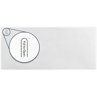 LUX #10 Booklet Envelope, 4 1/2 x 9 1/2, White, 250/Pack (WS-2592-250)