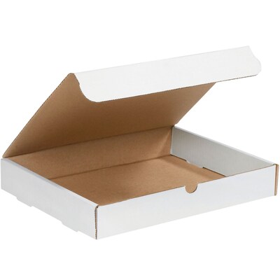 15 1/8 x 11 1/8 x 3 Protective Literature Mailer, 50/Pack