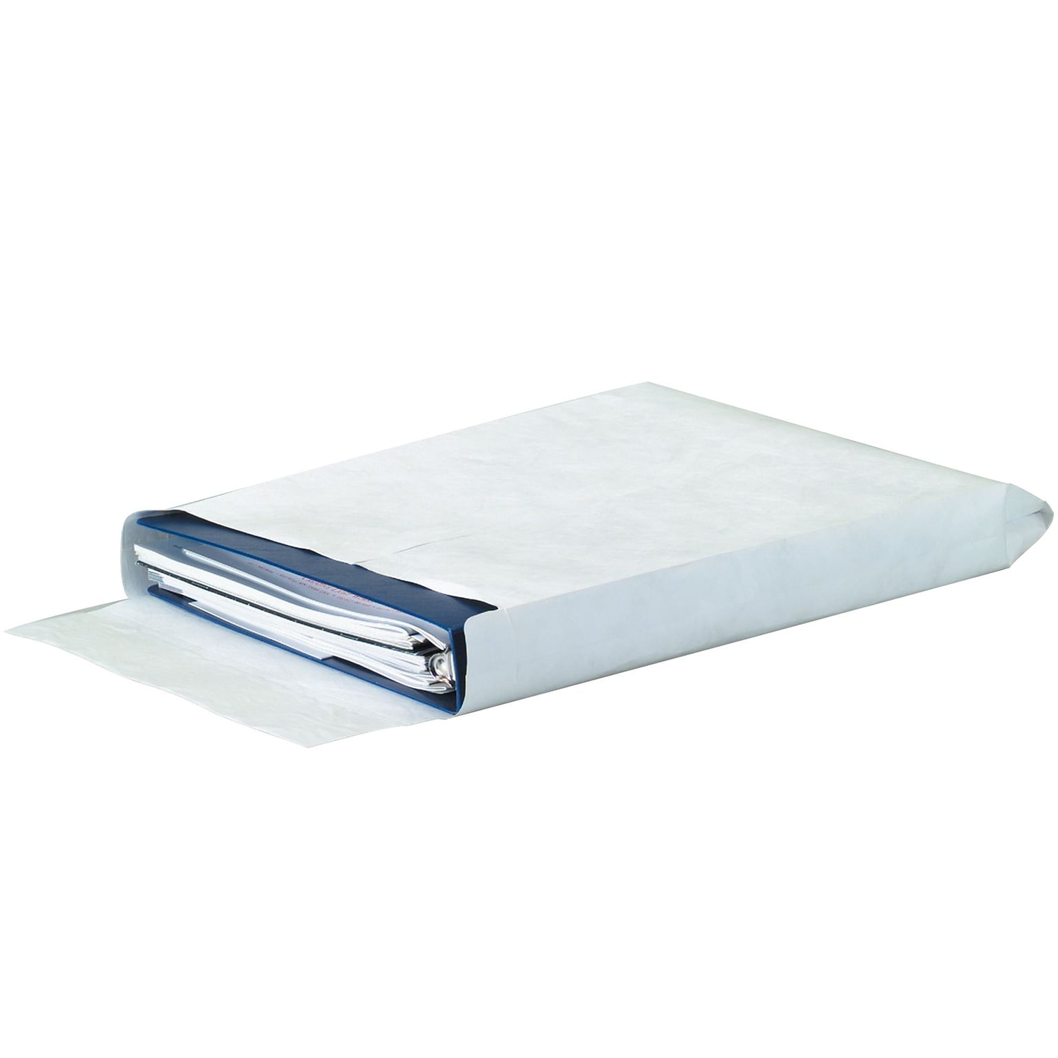 Tyvek® Expandable Envelopes, 10 x 13 x 1 1/2, White, 100/Case (TYE10131WE)