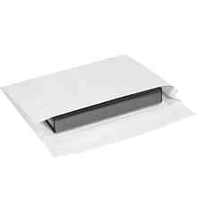 Partners Brand Tyvek Expandable Envelopes, 10 x 15 x 2, White, 100/Case (TYE10152WS)