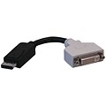 Tripp Lite P134-000 DisplayPort To DVI Cable Adapter/Converter