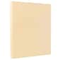 JAM Paper Vellum Bristol 67 lb. Cardstock Paper, 8.5" x 11", Cream, 50 Sheets/Pack (169824)