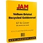 JAM Paper Vellum Bristol 67 lb. Cardstock Paper, 8.5" x 11", Goldenrod, 50 Sheets/Pack (169825)