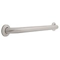 Franklin Brass 1-1/2 x 24 Concealed Mounting Grab Bar, Peened and Satin Stainless Steel (5624PS)