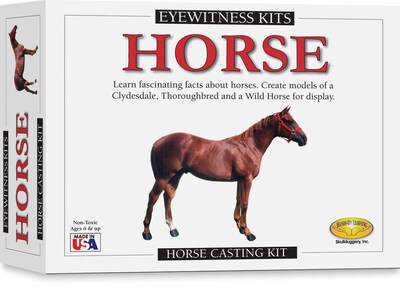 Horse Casting Kit (0522)