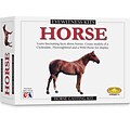 Horse Casting Kit (0522)