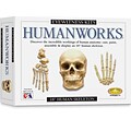 Humanworks Casting Kit (0530)