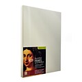 Ampersand The Artist Panel Canvas Texture Cradled Profile 11 In. X 14 In. 3/4 In. [Pack Of 2] (2PK-APC.75 1114)