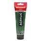 Amsterdam Standard Series Acrylic Paint Olive Green Deep 120 Ml [Pack Of 3] (3PK-100515194)