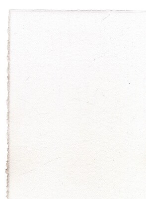 Arches Watercolor Paper 140 Lb. Cold Press Bright White 22 In. X 30 In. Sheet (100511509)
