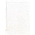 Arches Watercolor Paper 140 Lb. Cold Press Bright White 22 In. X 30 In. Sheet (100511509)