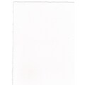 Arches Watercolor Paper 140 Lb. Cold Press White 22 In. X 30 In. Sheet (100511522)