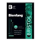 Bienfang 14" x 11" Bristol Sketch Pad, 20 Sheets/Pad (26523)