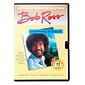 Bob Ross Joy Of Painting Tv Series Dvds #19 Dvd (RD1914D)