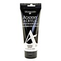 Grumbacher Academy Acrylic Colors Mixing White 6.8 Oz. (200 Ml) [Pack Of 2] (2PK-C248P200)