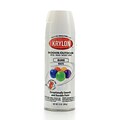 Krylon Indoor/Outdoor Spray Paint Gloss White (51501)