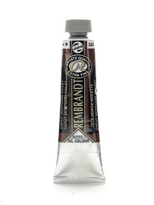 Rembrandt ArtistS Oil Colors Caput Mortuum Violet 40 Ml 344 [Pack Of 2] (2PK-100514665)