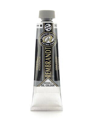 Rembrandt ArtistS Oil Colors Cold Gray 40 Ml 717 [Pack Of 2] (2PK-100514729)